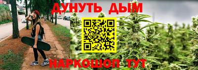 apvp Кингисепп