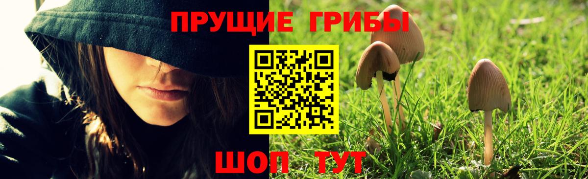 Липецк  Псилоцибиновые грибы MAGIC MUSHROOMS  Вход с VPN 