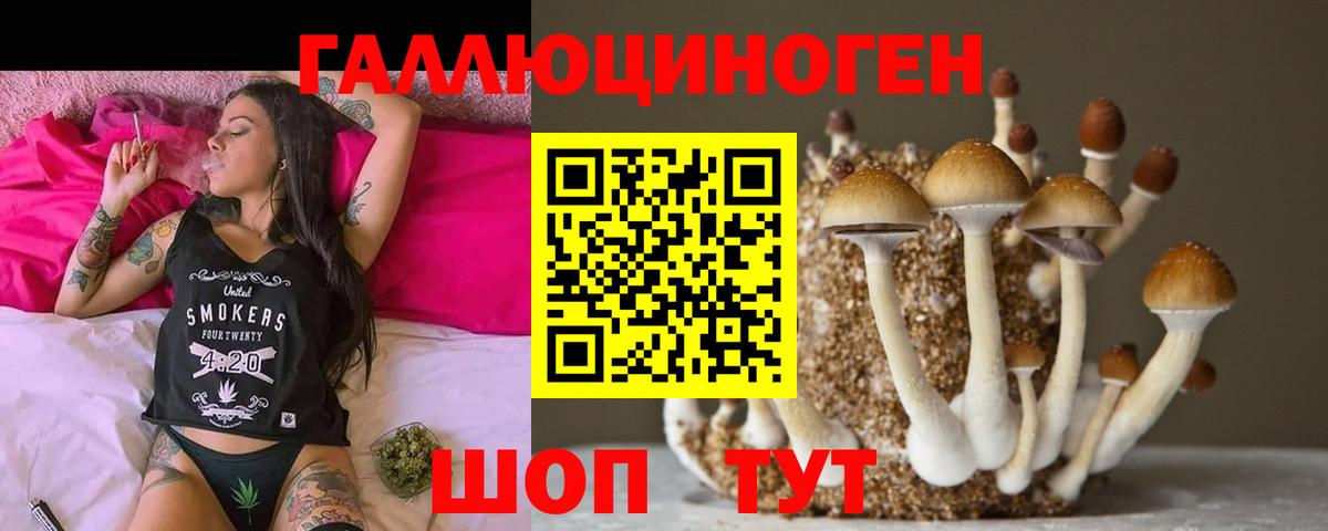 Псилоцибиновые грибы GOLDEN TEACHER Липецк